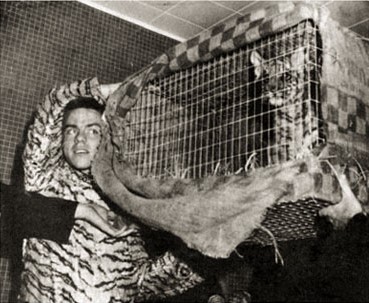 Student holding the tiger cub in a cage above his head